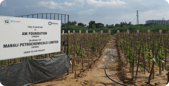 AM Foundation Partners With Greater Chennai Corporation for Its First Miyawaki Technique Tree Plantation Project to Increase the City's Forest Cover
